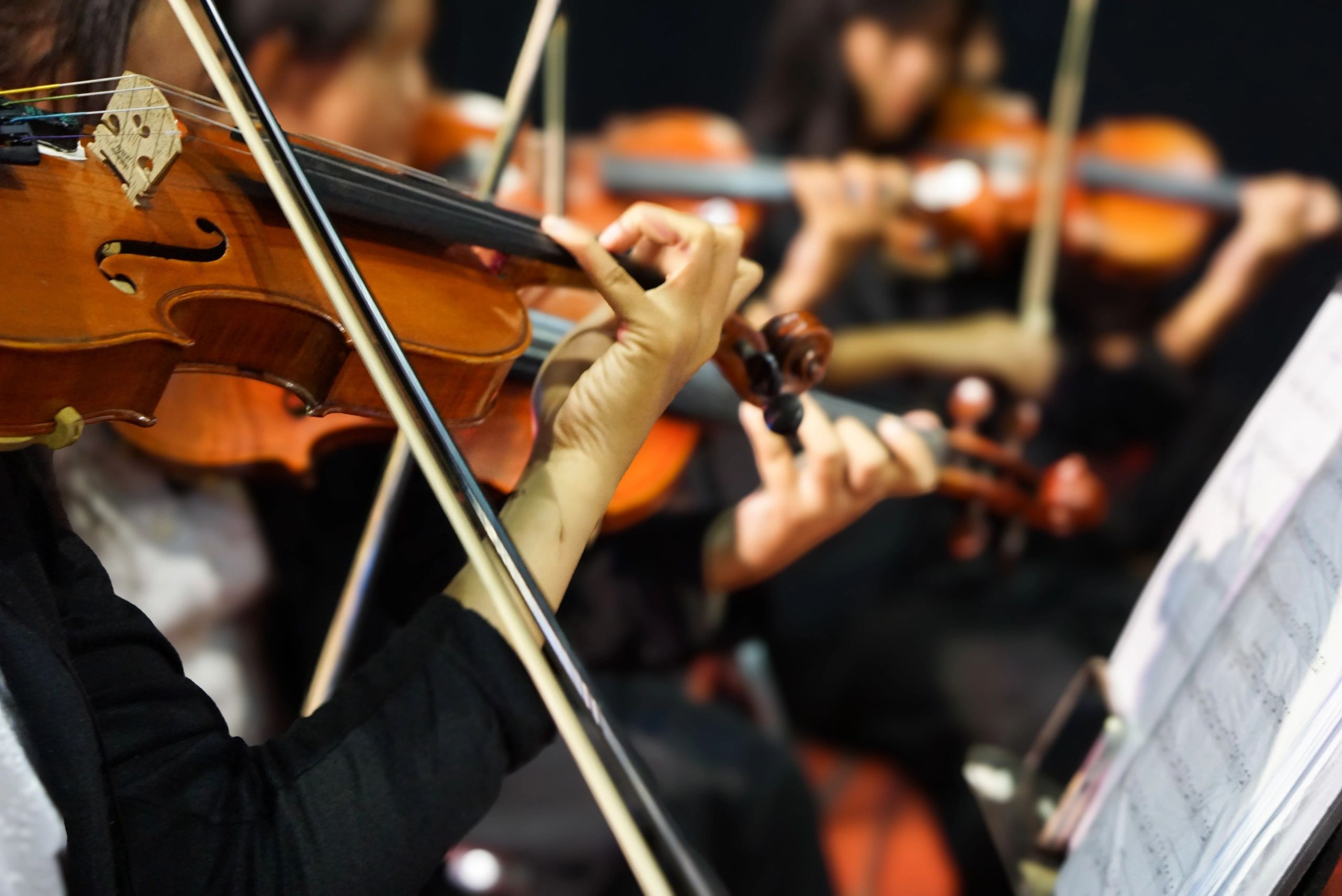 musicians orchestra instruments