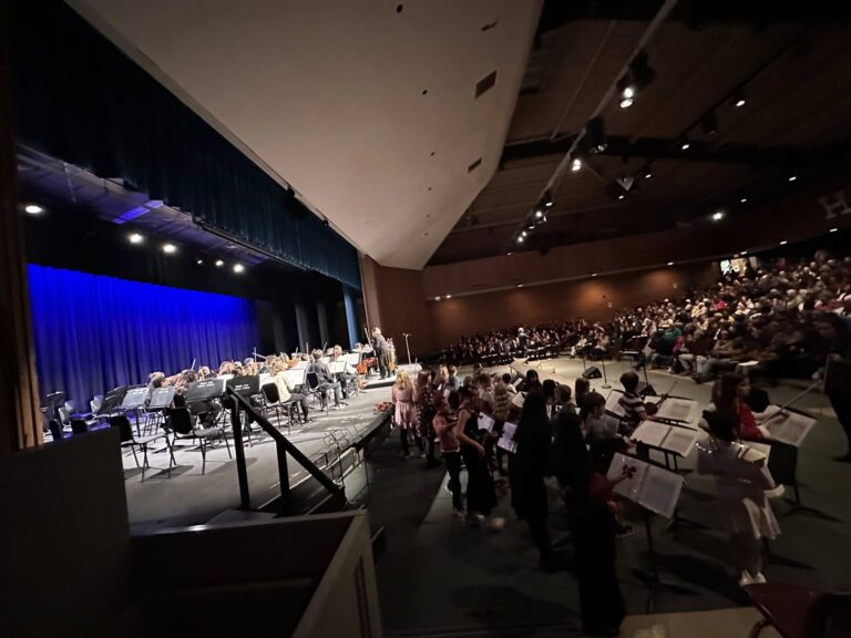 The Violin Club photo 5
